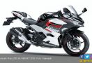 Kawasaki Meluncurkan Ninja 250 MY 2020, Ada 2 Varian dan Berikut Harganya - JPNN.com