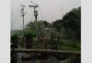 Angin Puting Beliung Mengamuk, Pohon Tumbang Timpa Mobil, Dua Warga Terluka - JPNN.com