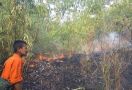 BPBD: Kebakaran di Gunung Sunda Sukabumi Diduga Berasal dari Puntung Rokok - JPNN.com