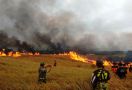 Diduga akibat Puntung Rokok, 100 Hektare Lahan Ilalang Ludes Terbakar - JPNN.com