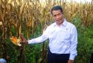 Di Pimpin Mentan Amran, Pembangunan Pertanian Dinilai Sukses, Ekspor Meningkat - JPNN.com