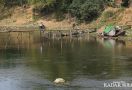 Sungai Bengawan Solo Tercemar Berat - JPNN.com