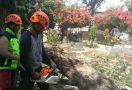 Puluhan Makam di Bogor Tertimpa Pohon Petai - JPNN.com