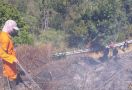 Kebakaran Hutan Gunung Semeru Kini Mencapai 60,4 Hektare - JPNN.com
