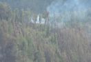 Kawasan Hutan di Gunung Semeru Terbakar Lagi - JPNN.com