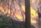 Api dari Tumpukan Sampah Membakar Lima Rumah - JPNN.com