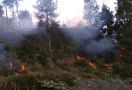 Hutan di Gunung Merapi Terbakar - JPNN.com