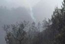 Hutan Penanjakan Wisata Gunung Bromo Terbakar - JPNN.com