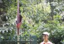 Tanaman Langka Mekar di Kebun Raya Bogor - JPNN.com