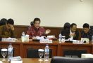 Rapat Kerja DPD RI - Bappenas: Pemindahan Ibu Kota Negara Wujud pemerataan dan Keadilan Ekonomi - JPNN.com