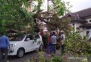 Bruk, Mobil Tertimpa Pohon Besar, Yati Tidak Mengalami Luka - JPNN.com