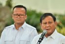 Sudah Pasti, Ada 2 Prabowo dari Gerindra untuk Mengisi Kabinet Jokowi - JPNN.com
