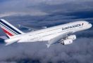 Air France Dihajar Corona, Prancis Siapkan Bantuan Historis - JPNN.com