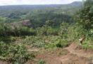 Waspada, 15 Kecamatan di Kuningan Rawan Longsor dan Banjir - JPNN.com