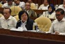 Menteri Siti Memaparkan Agenda Pembangunan LHK 2020-2024 Saat Raker dengan Komisi IV DPR - JPNN.com