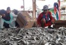 Desa Ini Dikenal Sebagai Penghasil Ikan Asin dan Otak-otak - JPNN.com