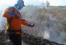 Lahan Gunung Salak Terbakar, Penyebabnya Puntung Rokok - JPNN.com