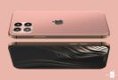 Layar iPhone 12 Bakal Lebih Kecil, Balik ke Masa Lampau - JPNN.com