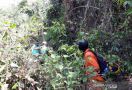 Sudah Tiga Hari Mbah Markiyem Hilang di Hutan - JPNN.com