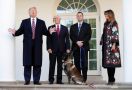 Trump Pamerkan Anjing yang Berjasa Dalam Pengejaran Bos ISIS - JPNN.com