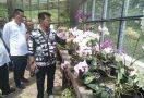 Mentan Syahrul Yasin Limpo Tetap Kerja Walau Libur - JPNN.com