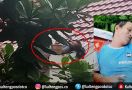 Siti Maemunah Kaget Ada Sesosok Mayat Pria di Atap Rumahnya - JPNN.com