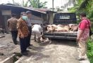 Lihat nih, Belasan Ekor Bangkai Babi di Tebing Tinggi Dievakuasi - JPNN.com