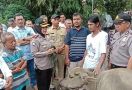 Sindikat Pencuri Kerbau di Kota Bogor Digulung Polisi - JPNN.com