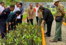 KLHK Bangun 120 Hektare Persemaian Modern di Lokasi Ibu Kota Negara Baru - JPNN.com
