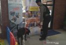 Wolf dan Black Ikut Menjaga Stasiun Cirebon - JPNN.com