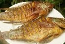 Ini Manfaat Kesehatan Makan Ikan Nila - JPNN.com