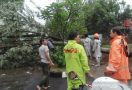 Bandung Dikepung Banjir dan Pohon Tumbang - JPNN.com