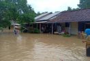 15 Korban Banjir Digigit Ular Berbisa - JPNN.com