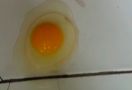 Fenomena Alam, Lantai Sekolah Ini Bersuhu Panas Bisa untuk Goreng Telur - JPNN.com