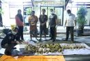 Polisi Bongkar Praktik Penjualan Bangkai Ayam di Blitar - JPNN.com