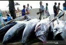 6 Manfaat Ikan Tuna yang Baik untuk Tubuh, Bikin Jantung Bahagia - JPNN.com