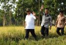 Bupati Situbondo Lindungi Lahan Pertanian dan Sejahterakan Petani - JPNN.com