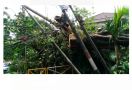 Pohon Tumbang Timpa Tiang Listrik di Kompleks Rumah Mewah Menteng Jakarta - JPNN.com