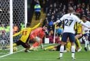 Watford Berbagi Poin dengan Tottenham - JPNN.com