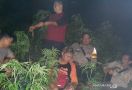 Polisi Temukan Ladang Ganja di Kaki Gunung Guntur - JPNN.com