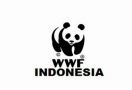 GoPay Permudah Masyarakat Berdonasi untuk WWF Indonesia dengan QRIS - JPNN.com