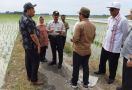 Kementan Terus Upayakan Solusi Alih Fungsi Lahan Pertanian - JPNN.com