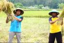 Kementan Siapkan Protokol Kesehatan Bagi Petani agar Tetap Berproduksi di Tengah Wabah Corona - JPNN.com