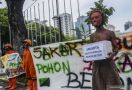 Walhi: Jakarta Butuh Pohon, Bukan Beton - JPNN.com