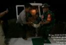Harimau Sumatera Teror Warga Inhil - JPNN.com