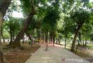 Revitalisasi Taman Sumenep, Anak Buah Anies Baswedan Korbankan 50 Pohon - JPNN.com