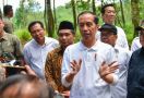 Wah Publik Ternyata Lebih Puas dengan Kinerja Jokowi Dibanding Wapres Ma'ruf Amin - JPNN.com
