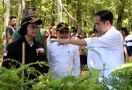 KLHK Akan Bangun 179 Unit Kebun Bibit Desa dan Kebun Bibit Rakyat di DAS Solo dan DAS Serayu - JPNN.com