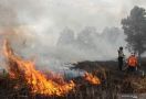 Karhutla di Riau Meluas, Tersangka Pembakaran Baru 21 Orang - JPNN.com