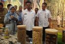 Mentan Syahrul Yasin Limpo Lepas Ekspor Larva Kering dari Bogor Tembus Inggris - JPNN.com